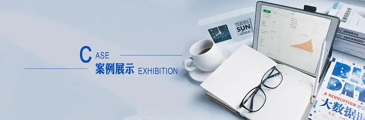 元氏县软件开发